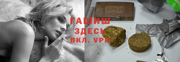 стаф Алзамай