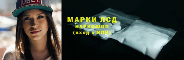 стаф Алзамай