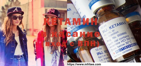 стаф Алзамай