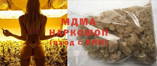стаф Алзамай