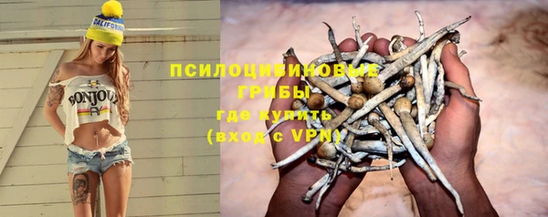 гидра Алексеевка